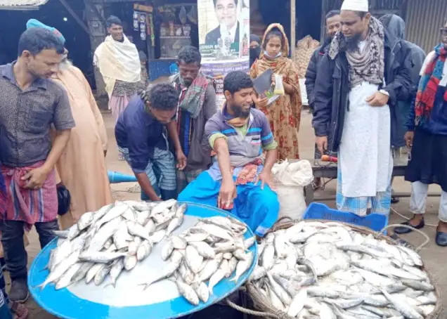 চরফ্যাশনে মাইকিং করে জাটকা বিক্রি