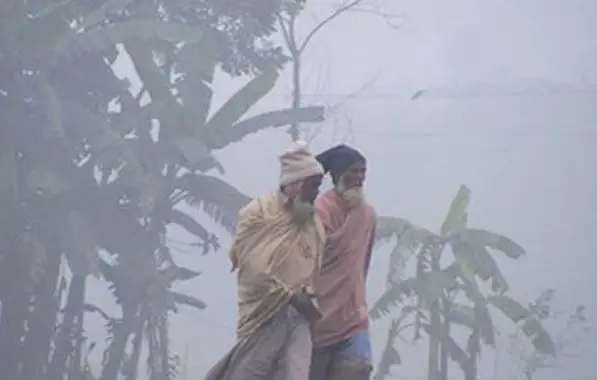 হাড়-কাঁপানো মাঘের শীত শুরু হাড়-কাঁপানো মাঘের শীত শুরু