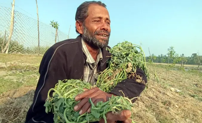 কলাপাড়ায় এক কৃষকের ফলনধরা ১০ হাজার তরমুজ গাছ উপড়ে ফেলার অভিযোগ