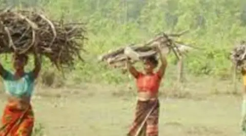 ভালো নেই আদিবাসী কোচ সম্প্রদায় ভালো নেই আদিবাসী কোচ সম্প্রদায়