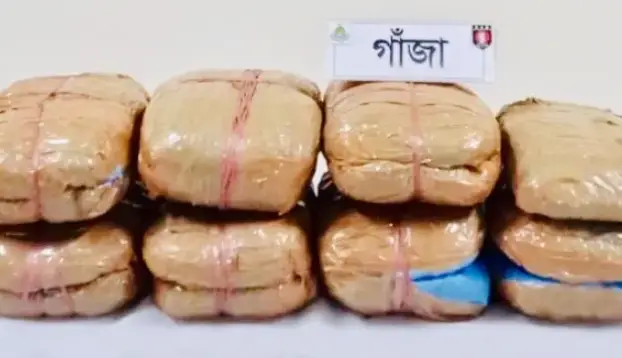 রাজধানীতে ৯ কেজি গাঁজাসহ আটক ১ রাজধানীতে ৯ কেজি গাঁজাসহ আটক ১