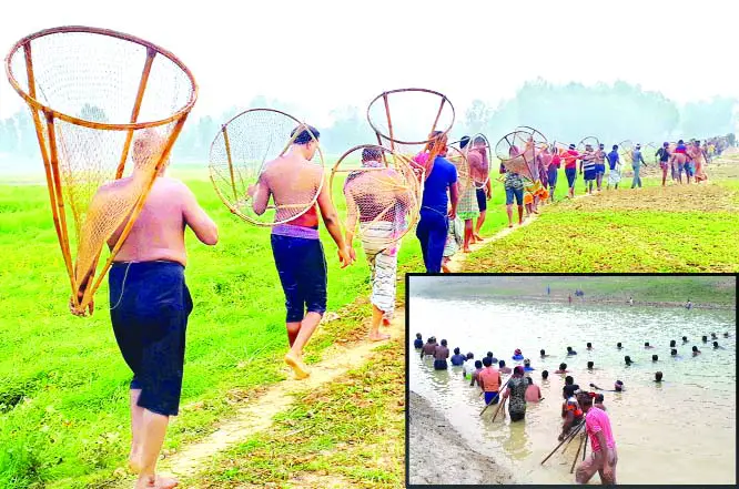 জাল, পলো যার শিকার তার- চলনবিলে বাউৎ উৎসব জাল, পলো যার শিকার তার- চলনবিলে বাউৎ উৎসব