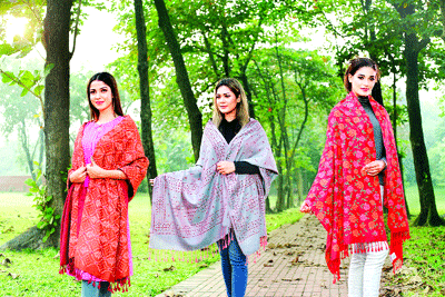 শাড়ির সঙ্গী শাল শাড়ির সঙ্গী শাল