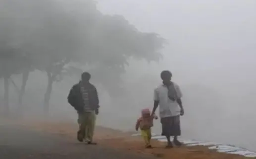 ফের জেঁকে বসবে শীত ফের জেঁকে বসবে শীত