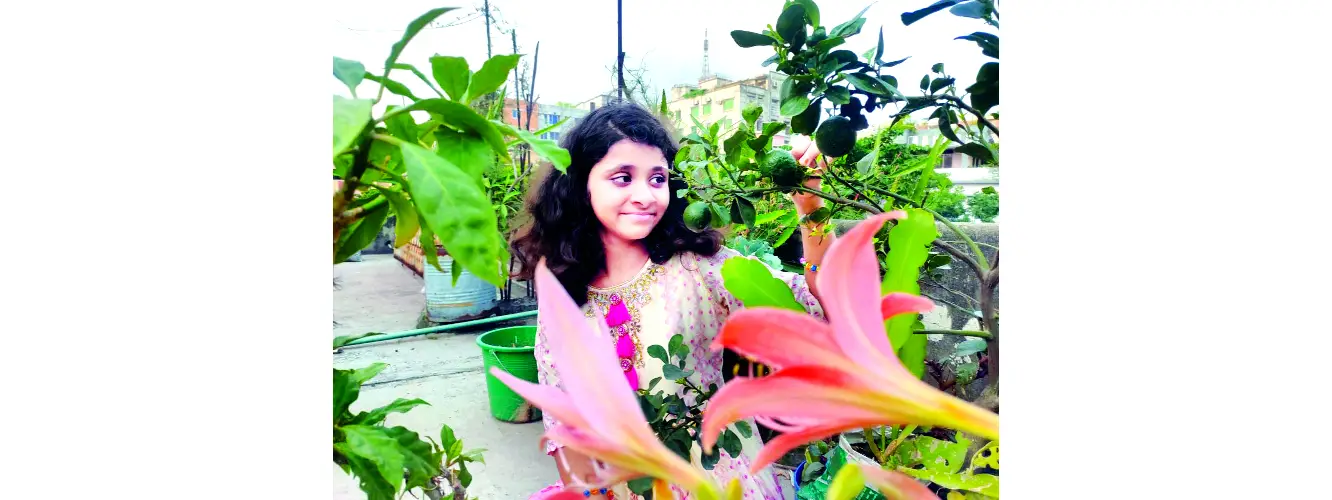এক টুকরো ছাদ বাগান এক টুকরো ছাদ বাগান
