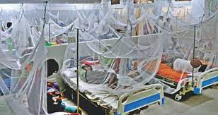 রাজধানীতে ৫ ডেঙ্গু রোগী হাসপাতালে ভর্তি রাজধানীতে ৫ ডেঙ্গু রোগী হাসপাতালে ভর্তি
