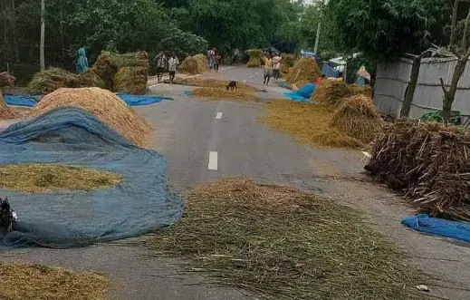 কুড়িগ্রামে সড়ক দখল করে চলছে ধান মাড়াই ও খড় শুকানোর কাজ