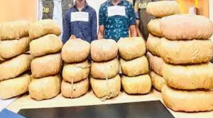 তেজগাঁওয়ে ৫০ কেজি গাঁজাসহ গ্রেফতার ২ তেজগাঁওয়ে ৫০ কেজি গাঁজাসহ গ্রেফতার ২