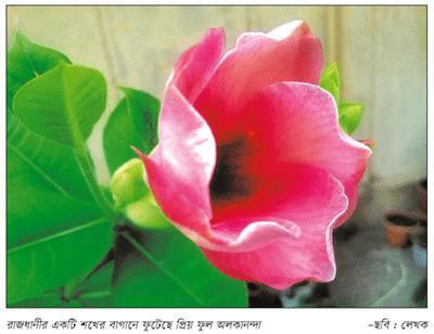 হৃদি ভেসে গেল অলকানন্দা জলে... হৃদি ভেসে গেল অলকানন্দা জলে...