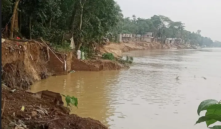 আজমিরীগঞ্জ কালনী কুশিয়ারা নদীতে ব্যাপক ভাঙ্গন