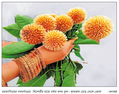 বর্ষার দূত- বর্ণ গন্ধ সৌন্দর্য্যে অতুলনীয় বর্ষার দূত- বর্ণ গন্ধ সৌন্দর্য্যে অতুলনীয়