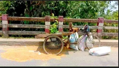 কুষ্টিয়ায় সড়ক দুর্ঘটনায় নিহত ১, আহত ২ কুষ্টিয়ায় সড়ক দুর্ঘটনায় নিহত ১, আহত ২