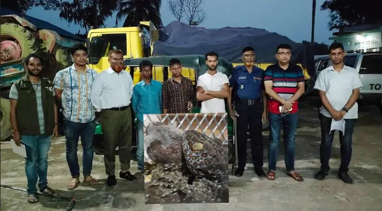 হবিগঞ্জে তক্ষকসহ গ্রেফতারকৃতদের ১৫ দিন করে কারাদন্ড হবিগঞ্জে তক্ষকসহ গ্রেফতারকৃতদের ১৫ দিন করে কারাদন্ড