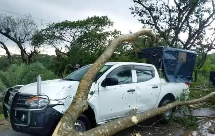 বাগেরহাটে ঝড়ে গাছ ভেঙ্গে পড়ল ইউএনওর গাড়ির উপর