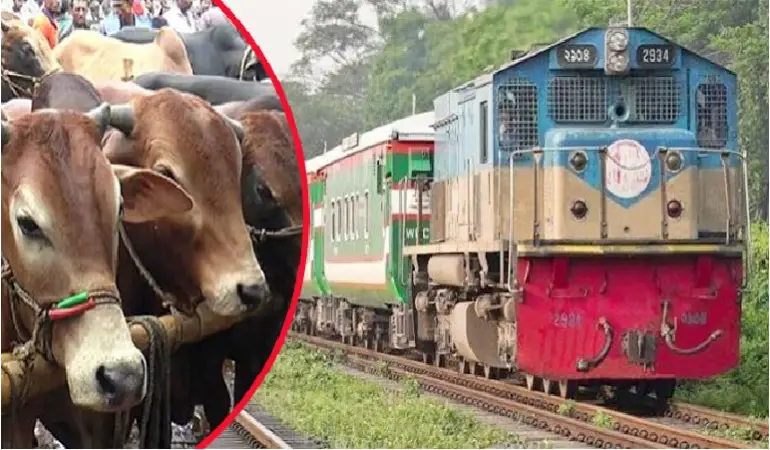 আগামী ৬ জুলাই থেকে চলবে পশুবাহী বিশেষ ট্রেন