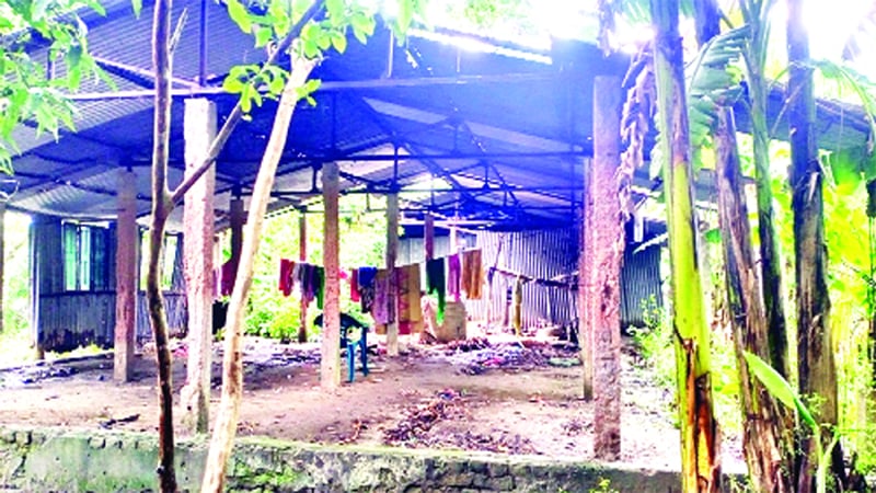 কলাপাড়ায় গামুরিবুনিয়া আবাসন প্রকল্পের ঘরগুলো বেহাল দশা    -জনকণ্ঠ