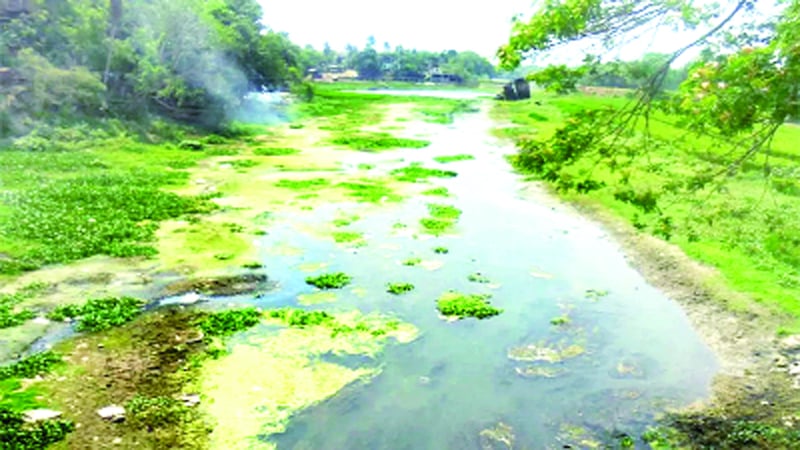 কপোতাক্ষ নদ    -জনকণ্ঠ