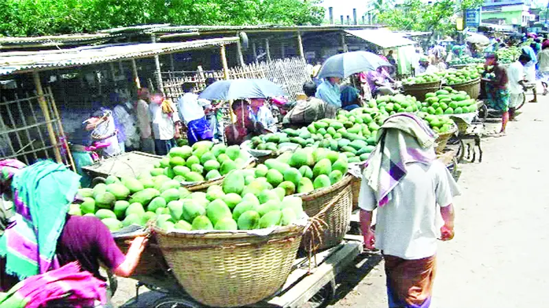 কানসার্ট বাজারে বিক্রির অপেক্ষায় আম