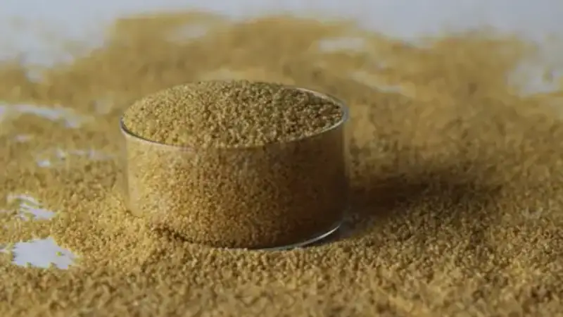 চিত্র: কাকুনি (Foxtail Millet)