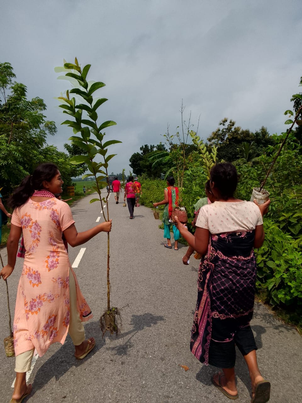 পাহাড়ের পথে পথে রোপণ করা হচ্ছে গাছের চারা। ছবি: ফলদ বাংলাদেশ