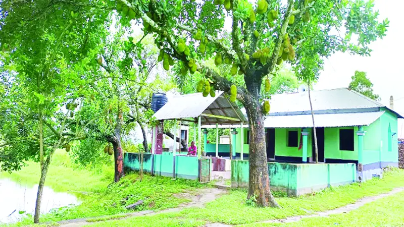 মহেশপুর গ্রামে মহালবাড়ি মসজিদটি