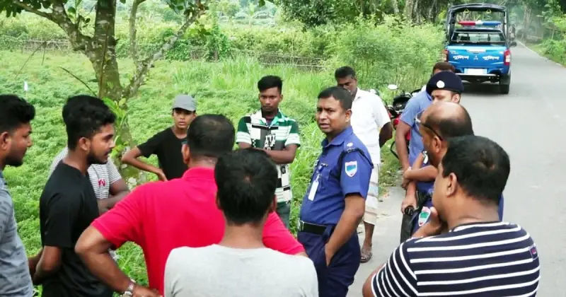 মেহেরপুরের বামন্দীতে সড়কে গাছ ফেলে ডাকাতি