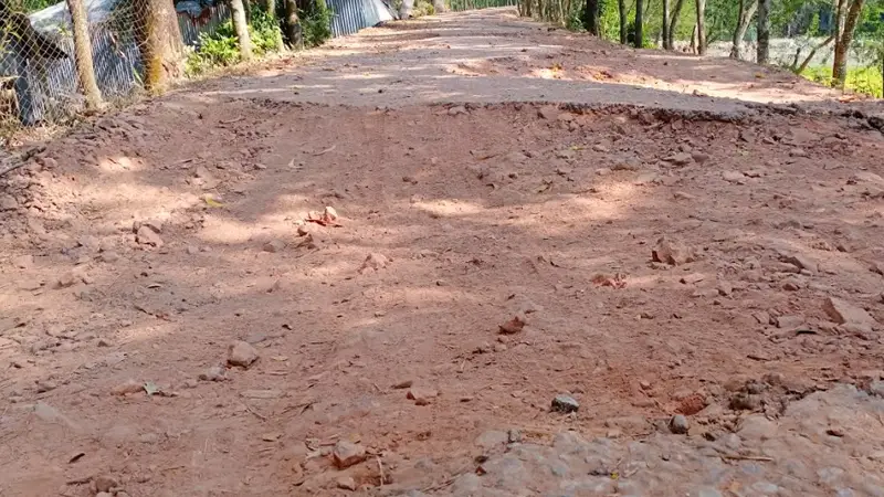 কলাপাড়ায় ৯০ কিলোমিটার পাকা সড়কে খানা-খন্দ, দুর্ভোগ চরমে কলাপাড়ায় ৯০ কিলোমিটার পাকা সড়কে খানা-খন্দ, দুর্ভোগ চরমে