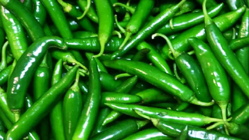 কাঁচা মরিচ ৩৫০ টাকা কাঁচা মরিচ ৩৫০ টাকা