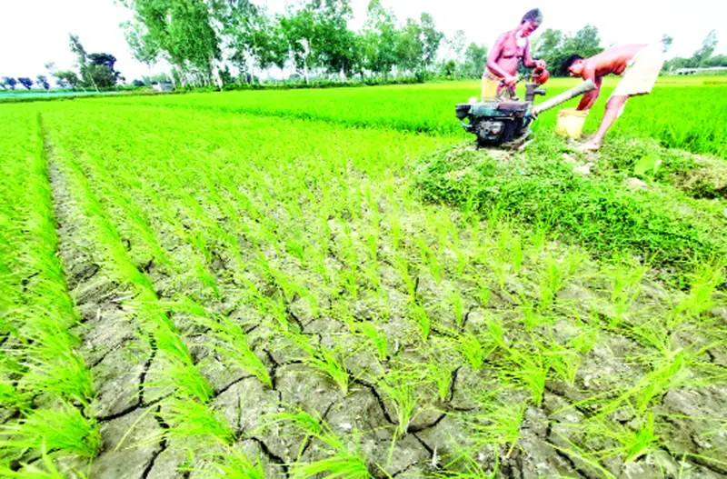 শেষ শ্রাবণে খেয়ালি  মেঘদূতের ভিন্ন  খেলা