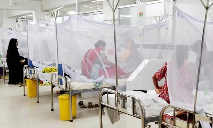 ডেঙ্গু : ঢাকায় আরও ৩৩ রোগী হাসপাতালে ডেঙ্গু : ঢাকায় আরও ৩৩ রোগী হাসপাতালে
