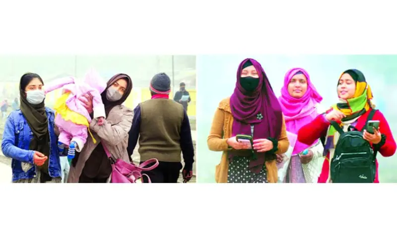 শীতের হাওয়ায় লাগল নাচন আমলকীর ডালে ডালে