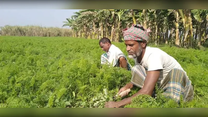 লালপুরে কর না নেওয়ায় খারিজ করতে পারছেনা ১৭টি চরের বাসিন্দারা