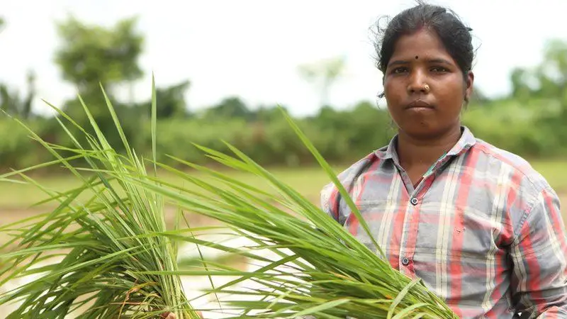 তেলের মূল্যবৃদ্ধি সম্পর্কে কী বলছে বিবিসি