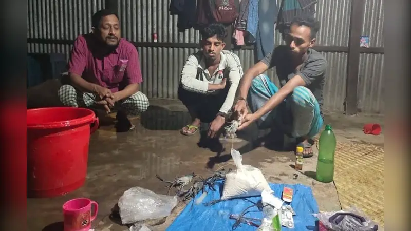 দাউদকান্দিতে চিংড়িতে বিষাক্ত জেলি মেশানোর দায়ে ৩ জনের ৬ মাসের কার