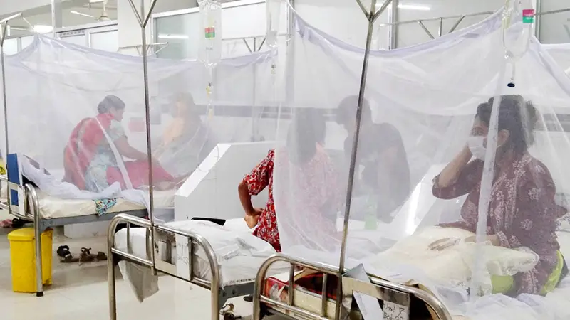 আরও ৯৬ ডেঙ্গু রোগী হাসপাতালে ভর্তি আরও ৯৬ ডেঙ্গু রোগী হাসপাতালে ভর্তি