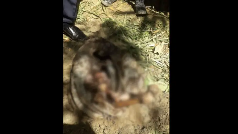 হত্যার ২ বছর পর লাশ উদ্ধার: আটক ২ হত্যার ২ বছর পর লাশ উদ্ধার: আটক ২
