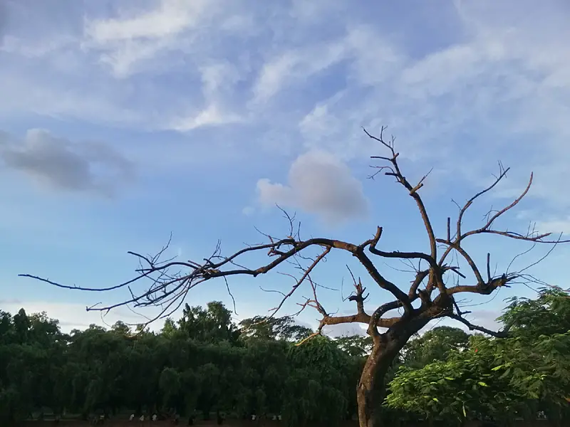 বায়ান্ন বাজার তিপ্পান্ন গলি বায়ান্ন বাজার তিপ্পান্ন গলি