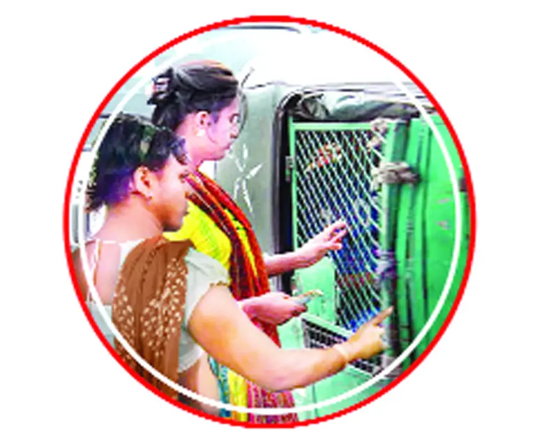 স্কুলে গেলে সহপাঠীরা হাফ লেডিস বলত স্কুলে গেলে সহপাঠীরা হাফ লেডিস বলত