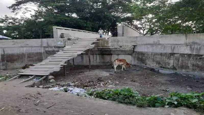 বাকেরগঞ্জে ৩ কোটি ৭৯ লাখ টাকার সেতুতে উঠতে লাগে সিঁড়ি বাকেরগঞ্জে ৩ কোটি ৭৯ লাখ টাকার সেতুতে উঠতে লাগে সিঁড়ি