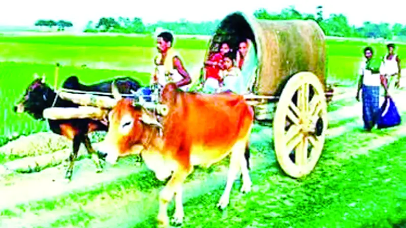ওকি গাড়িয়াল ভাই কত রব আমি পন্থের পানে... ওকি গাড়িয়াল ভাই কত রব আমি পন্থের পানে...