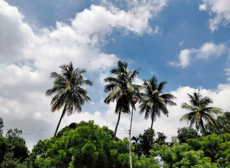 স্বচ্ছ নীল আকাশে সাদা মেঘের ভেলা স্বচ্ছ নীল আকাশে সাদা মেঘের ভেলা