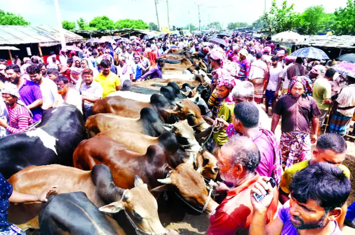চট্টগ্রামে বাড়ছে বেচাকেনা চট্টগ্রামে বাড়ছে বেচাকেনা