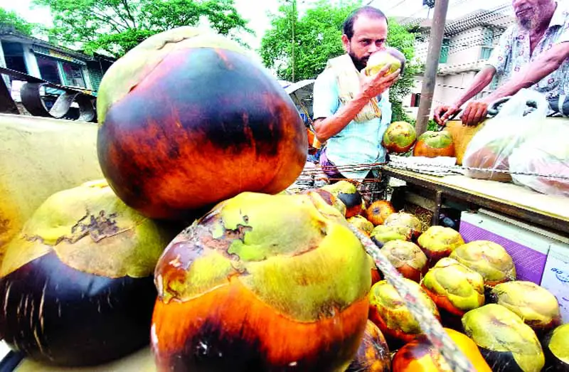 তালের পিঠা পায়েস বড়া বাঙালীর ঐতিহ্য