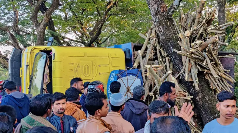 গাছ বোঝাই ট্রাক উল্টে শ্রমিক নিহত গাছ বোঝাই ট্রাক উল্টে শ্রমিক নিহত