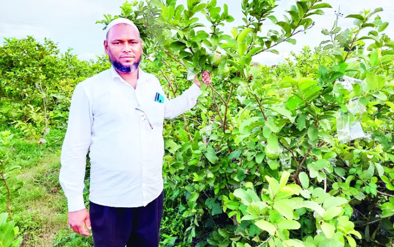 হযরত আলীর উদ্যোক্তা  হওয়ার গল্প