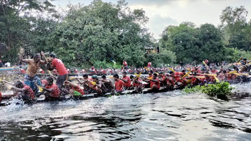 কোটালীপাড়ায় বিশ্বকর্মা পূজা উপলক্ষে নৌকা বাইচ