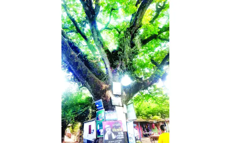 মুক্তিযুদ্ধের দিনগুলোয় বিবিসি রেডিও শোনা... মুক্তিযুদ্ধের দিনগুলোয় বিবিসি রেডিও শোনা...