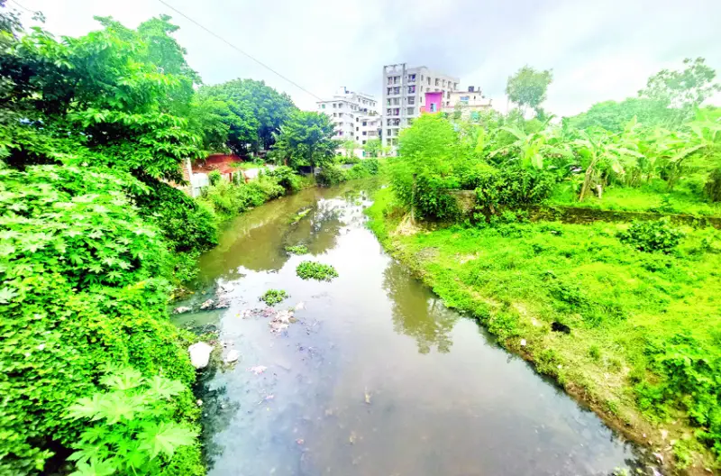 লখিন্দরের বজরা চলত এই সুবিল খাঁড়ি দিয়ে লখিন্দরের বজরা চলত এই সুবিল খাঁড়ি দিয়ে