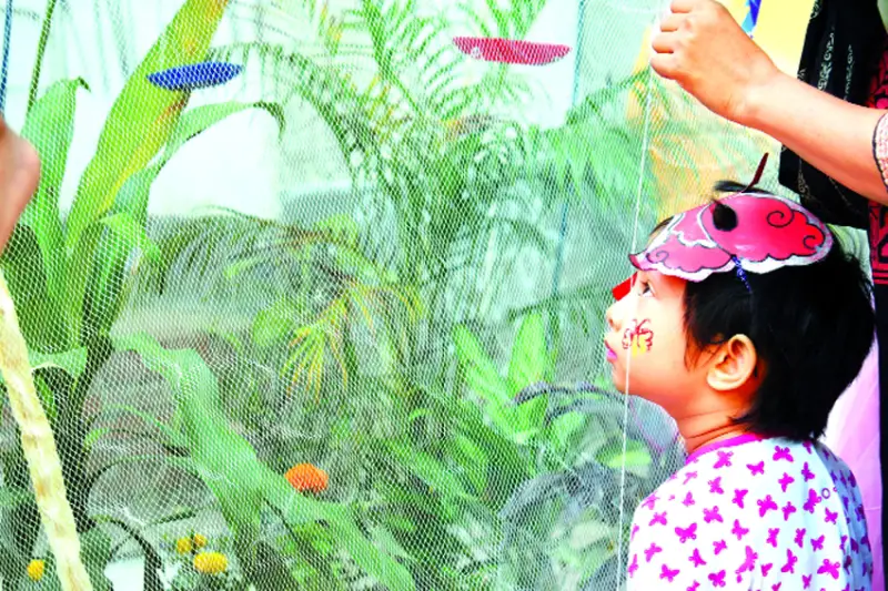 বর্ণিল প্রজাপতির রঙিন ডানায় দিনভর ওড়াউড়ি বর্ণিল প্রজাপতির রঙিন ডানায় দিনভর ওড়াউড়ি