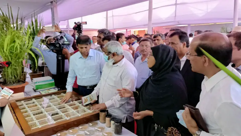 মিনিকেট নামে কোন চাল বিক্রি করা যাবে না মিনিকেট নামে কোন চাল বিক্রি করা যাবে না